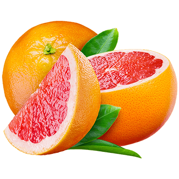 Toranja
